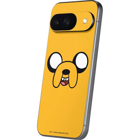 Adult Swim Adventure Time Jake The Dog Google Pixel 9 Skin